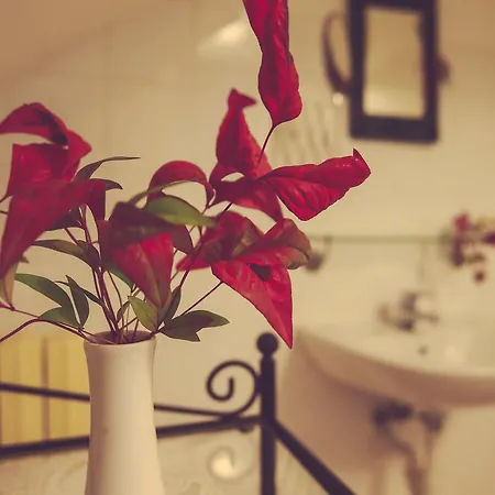 Antica Casa Nebiolo 아파트