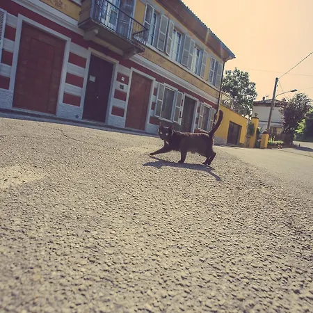 Antica Casa Nebiolo 아파트 포르타코마로