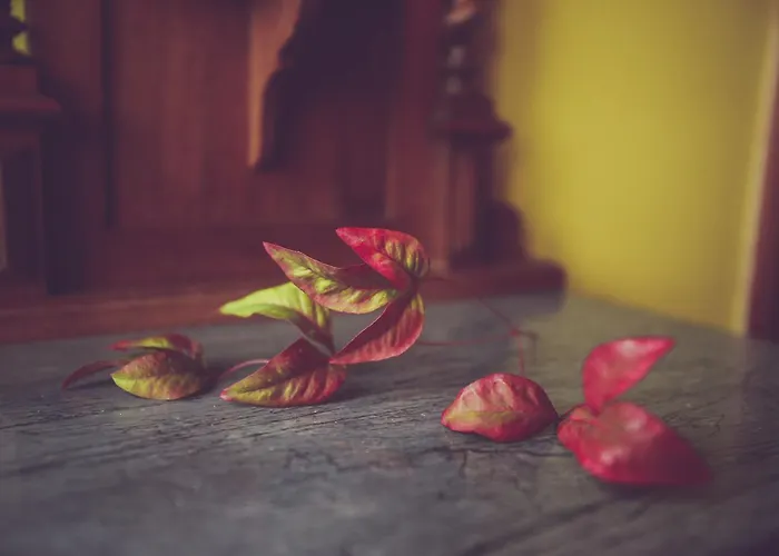 Antica Casa Nebiolo Apartamento Portacomaro