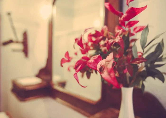 Antica Casa Nebiolo * Portacomaro