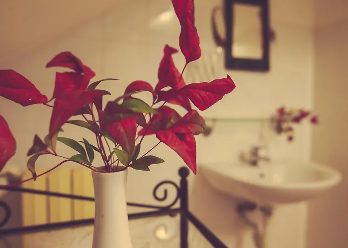 Antica Casa Nebiolo Apartamento