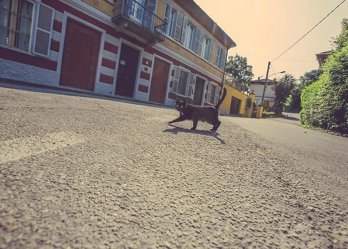 Antica Casa Nebiolo Apartamento Portacomaro